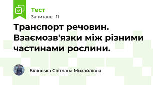 Транспорт речовин. Взаємозв'язки між різними частинами рослини.