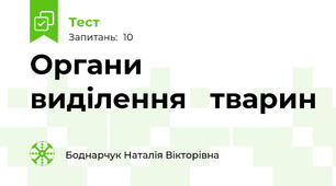             Органи    виділення   тварин   
