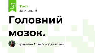 Головний мозок. 