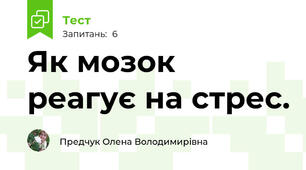 Як мозок реагує на стрес. 