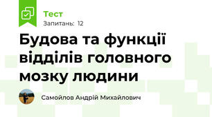 Будова та функції відділів головного мозку людини