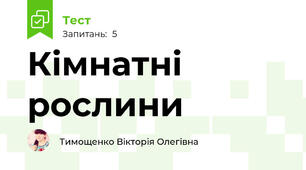 Кімнатні рослини 