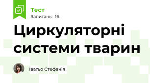 Циркуляторні системи тварин