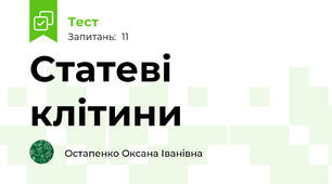 Статеві клітини