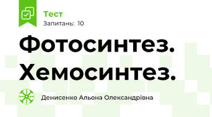 Фотосинтез. Хемосинтез.
