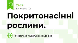 Покритонасінні рослини.