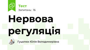 Нервова регуляція
