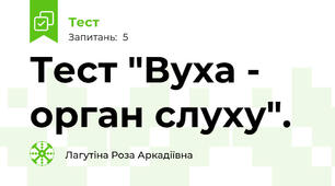 Тест "Вуха - орган слуху".