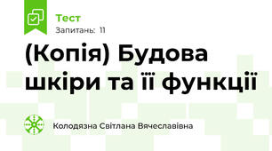 (Копія) Будова шкіри та її функції