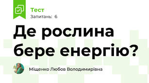 Де рослина бере енергію?