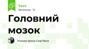 Головний мозок