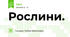 Рослини.