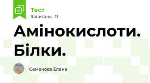 Амінокислоти. Білки.