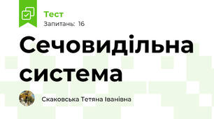 Сечовидільна система