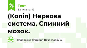 (Копія) Нервова система. Спинний мозок.