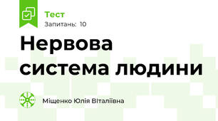 Нервова система людини