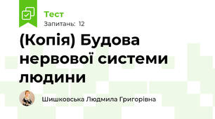 (Копія) Будова нервової системи людини