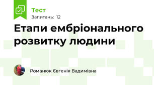 Етапи ембріонального розвитку людини
