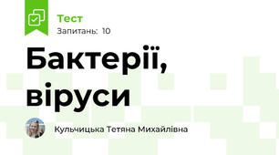 Бактерії, віруси