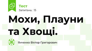 Мохи, Плауни та Хвощі.