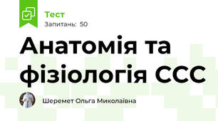 Анатомія та фізіологія ССС