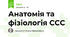 Анатомія та фізіологія ССС