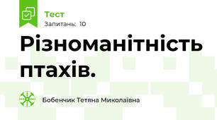 Різноманітність птахів.
