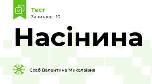 Насінина