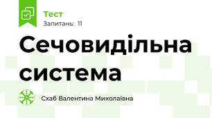 Сечовидільна система