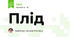 Плід