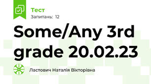Some/Any 3rd grade 20.02.23