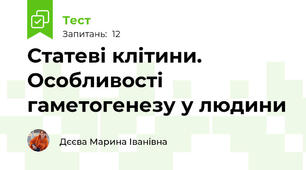 Статеві клітини. Особливості гаметогенезу у людини