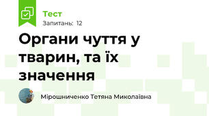 Органи чуття у тварин, та їх значення