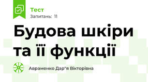 Будова шкіри та її функції