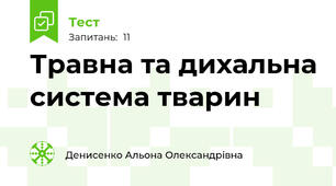 Травна та дихальна система тварин 