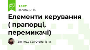  Елементи керування ( прапорці, перемикачі)