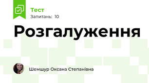 Розгалуження