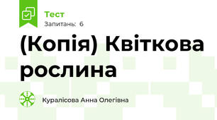 (Копія) Квіткова рослина