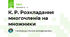 К. Р. Розкладання многочленів на множники