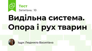 Видільна система. Опора і рух тварин