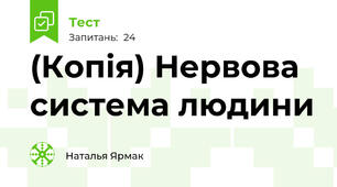 (Копія) Нервова система людини