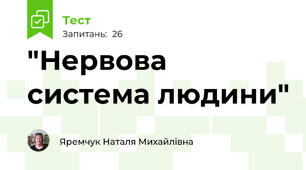  "Нервова система людини"