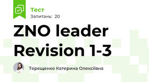 ZNO leader Revision 1-3