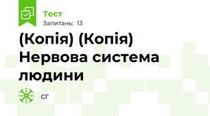 (Копія) (Копія) Нервова система людини