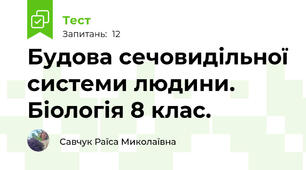 Будова сечовидільної системи людини. Біологія 8 клас.