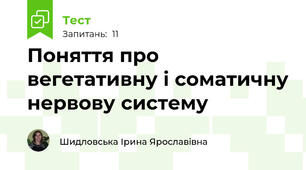 Поняття про вегетативну і соматичну нервову систему