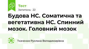 Будова НС. Соматична та вегетативна НС. Спинний мозок. Головний мозок