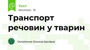 Транспорт речовин у тварин