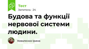 Будова та функції нервової системи людини. 