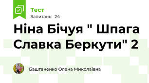 Ніна Бічуя " Шпага Славка Беркути" 2